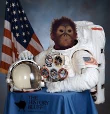 Gordo the space monkey